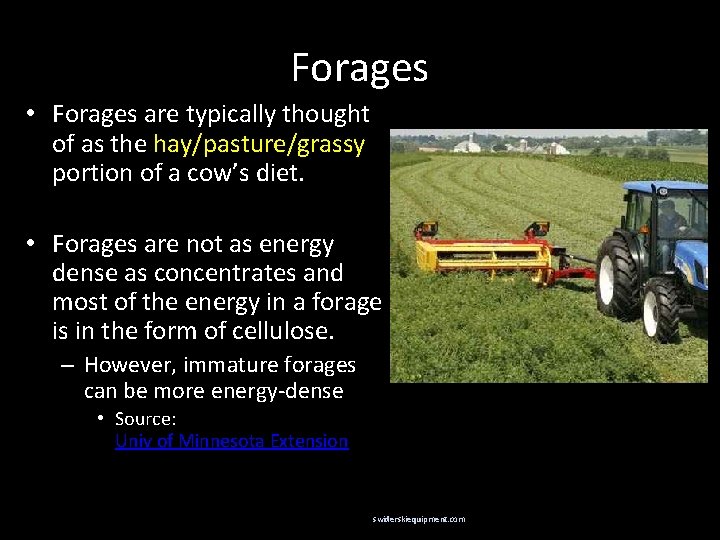 Forages • Forages are typically thought of as the hay/pasture/grassy portion of a cow’s