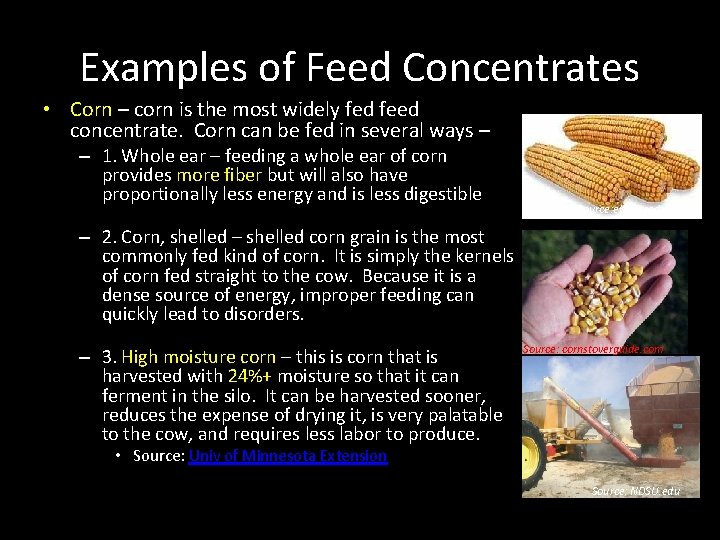 Examples of Feed Concentrates • Corn – corn is the most widely fed feed