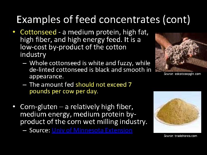 Examples of feed concentrates (cont) • Cottonseed - a medium protein, high fat, high