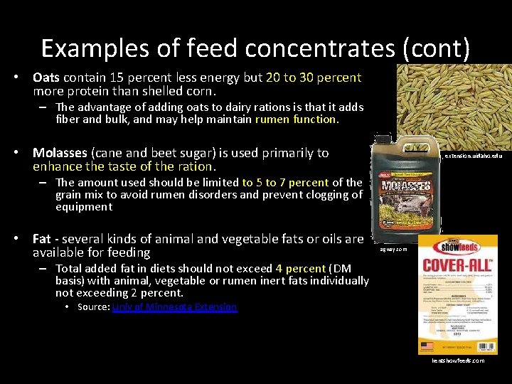 Examples of feed concentrates (cont) • Oats contain 15 percent less energy but 20