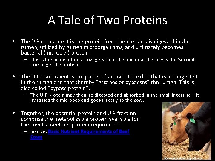 A Tale of Two Proteins • The DIP component is the protein from the