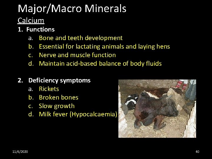 Major/Macro Minerals Calcium 1. Functions a. Bone and teeth development b. Essential for lactating