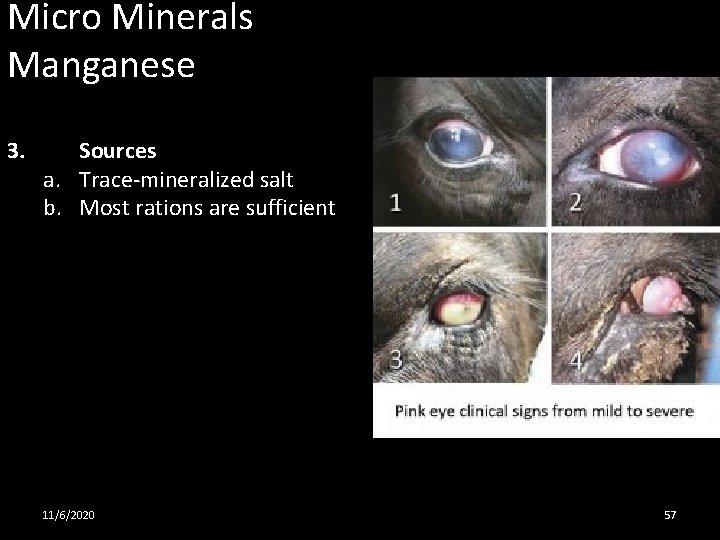 Micro Minerals Manganese 3. Sources a. Trace-mineralized salt b. Most rations are sufficient 11/6/2020