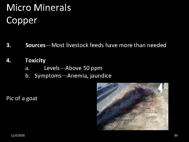 Micro Minerals Copper 3. Sources—Most livestock feeds have more than needed 4. Toxicity a.
