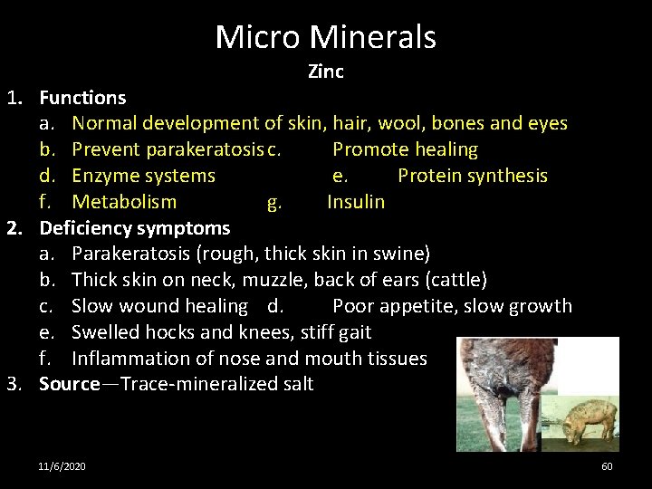 Micro Minerals Zinc 1. Functions a. Normal development of skin, hair, wool, bones and