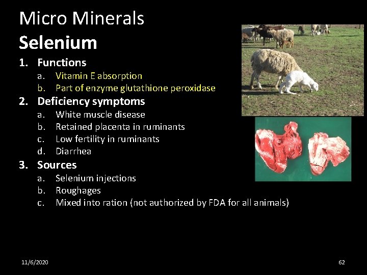 Micro Minerals Selenium 1. Functions a. b. Vitamin E absorption Part of enzyme glutathione