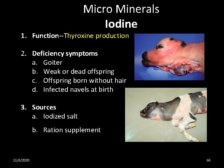 Micro Minerals Iodine 1. Function--Thyroxine production 2. Deficiency symptoms a. Goiter b. Weak or