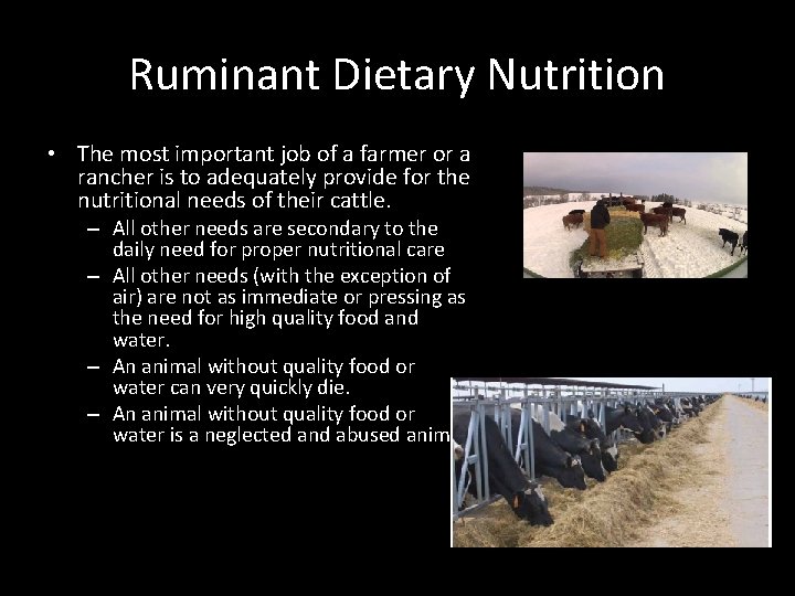 Ruminant Dietary Nutrition • The most important job of a farmer or a rancher