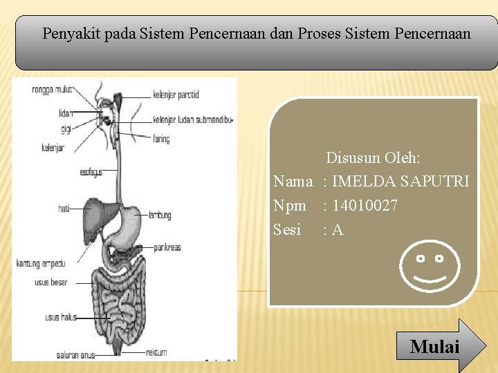 Penyakit pada Sistem Pencernaan dan Proses Sistem Pencernaan Disusun Oleh: Nama : IMELDA SAPUTRI