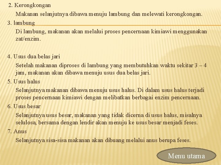 2. Kerongkongan Makanan selanjutnya dibawa menuju lambung dan melewati kerongkongan. 3. lambung Di lambung,