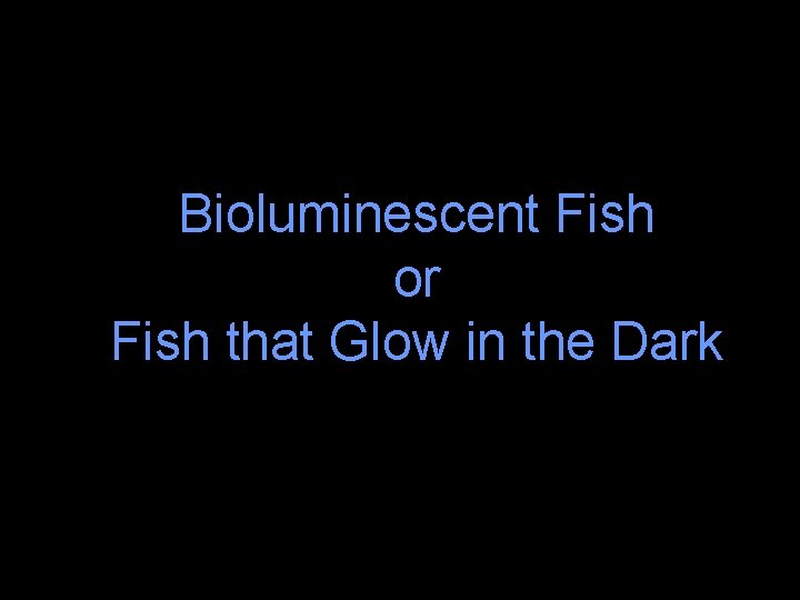 Bioluminescent Fish or Fish that Glow in the Dark 