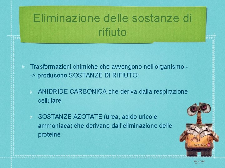 Eliminazione delle sostanze di rifiuto Trasformazioni chimiche avvengono nell’organismo -> producono SOSTANZE DI RIFIUTO: