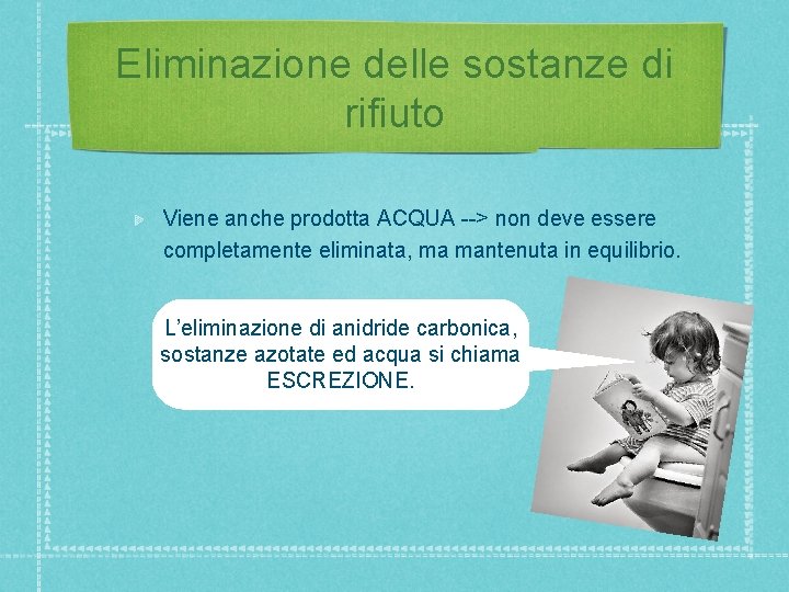 Eliminazione delle sostanze di rifiuto Viene anche prodotta ACQUA --> non deve essere completamente