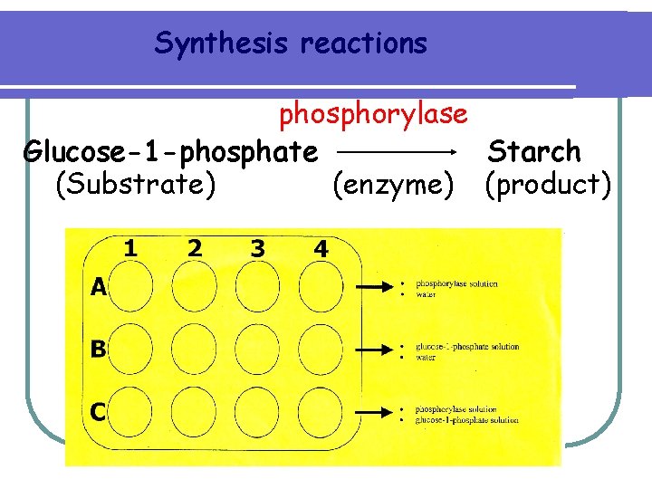 Synthesis reactions phosphorylase Glucose-1 -phosphate Starch (Substrate) (enzyme) (product) 