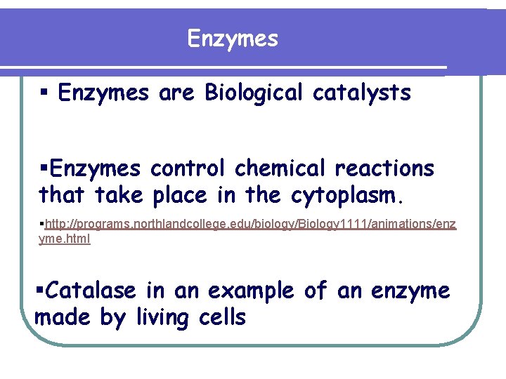 Enzymes § Enzymes are Biological catalysts §Enzymes control chemical reactions that take place in