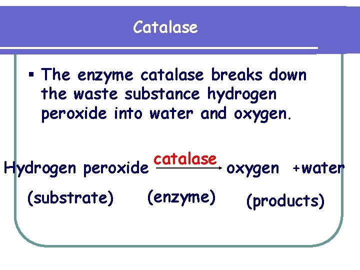 Catalase § The enzyme catalase breaks down the waste substance hydrogen peroxide into water