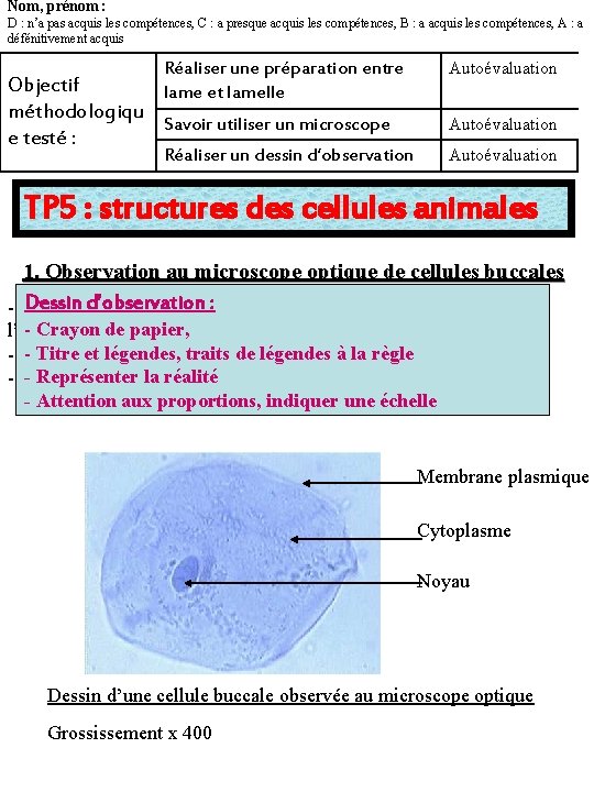 Nom, prénom : D : n’a pas acquis les compétences, C : a presque