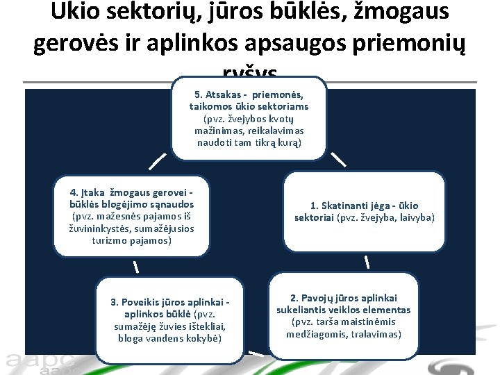 Ūkio sektorių, jūros būklės, žmogaus gerovės ir aplinkos apsaugos priemonių ryšys 5. Atsakas -