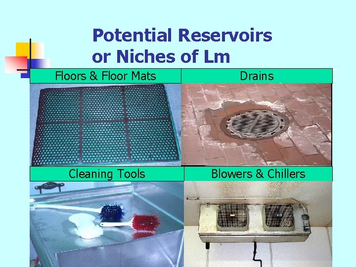 Potential Reservoirs or Niches of Lm Floors & Floor Mats Drains Cleaning Tools Blowers