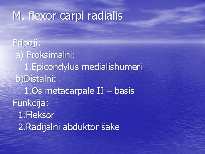 M. flexor carpi radialis Pripoji: a) Proksimalni: 1. Epicondylus medialishumeri b)Distalni: 1. Os metacarpale