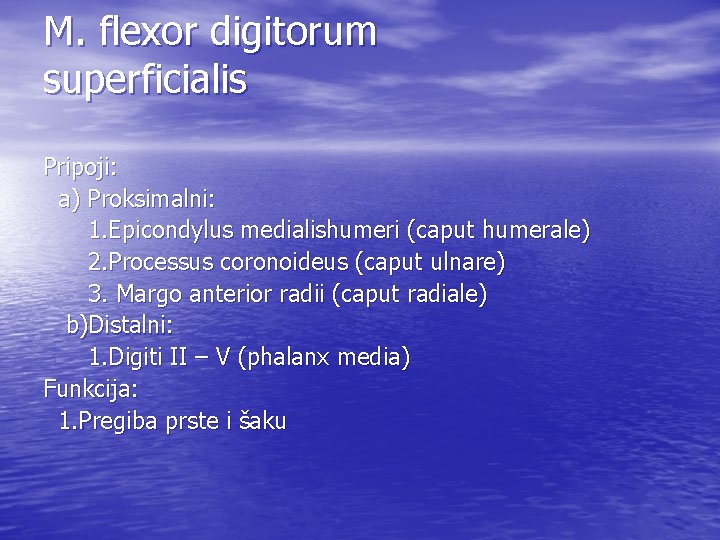 M. flexor digitorum superficialis Pripoji: a) Proksimalni: 1. Epicondylus medialishumeri (caput humerale) 2. Processus