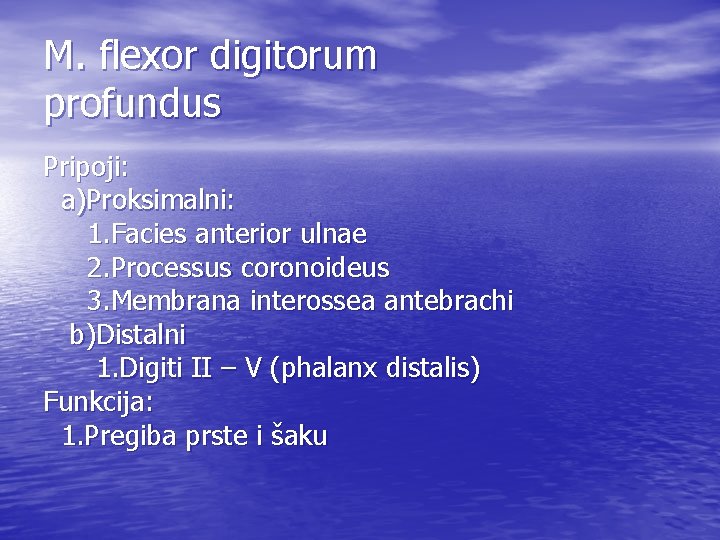 M. flexor digitorum profundus Pripoji: a)Proksimalni: 1. Facies anterior ulnae 2. Processus coronoideus 3.