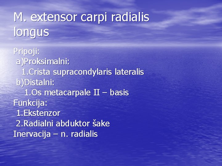 M. extensor carpi radialis longus Pripoji: a)Proksimalni: 1. Crista supracondylaris lateralis b)Distalni: 1. Os