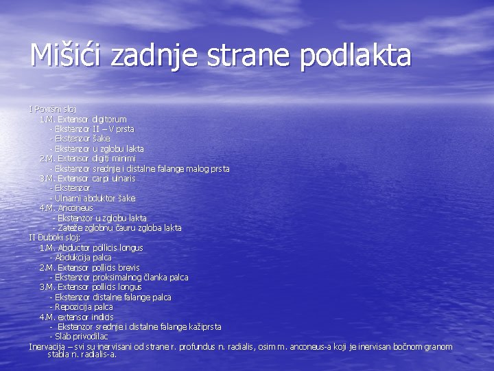 Mišići zadnje strane podlakta I Površni sloj 1. M. Extensor digitorum - Ekstenzor II