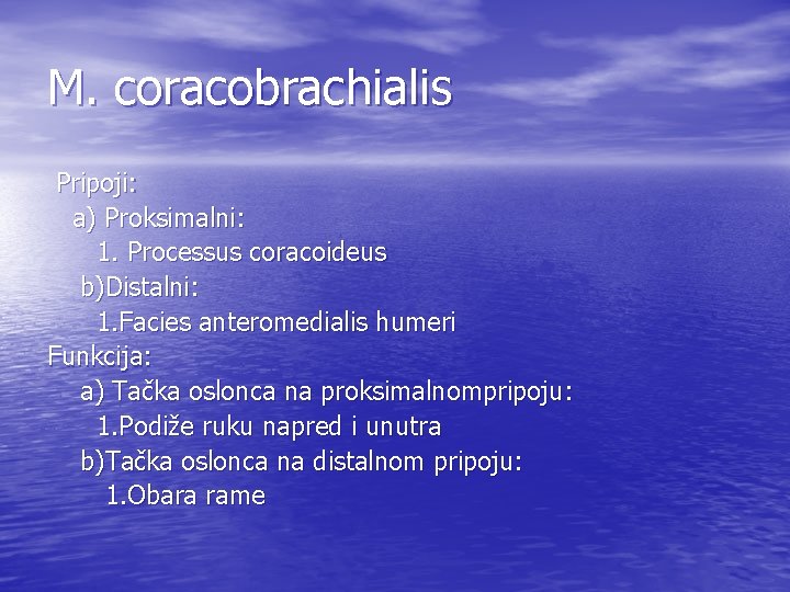 M. coracobrachialis Pripoji: a) Proksimalni: 1. Processus coracoideus b)Distalni: 1. Facies anteromedialis humeri Funkcija: