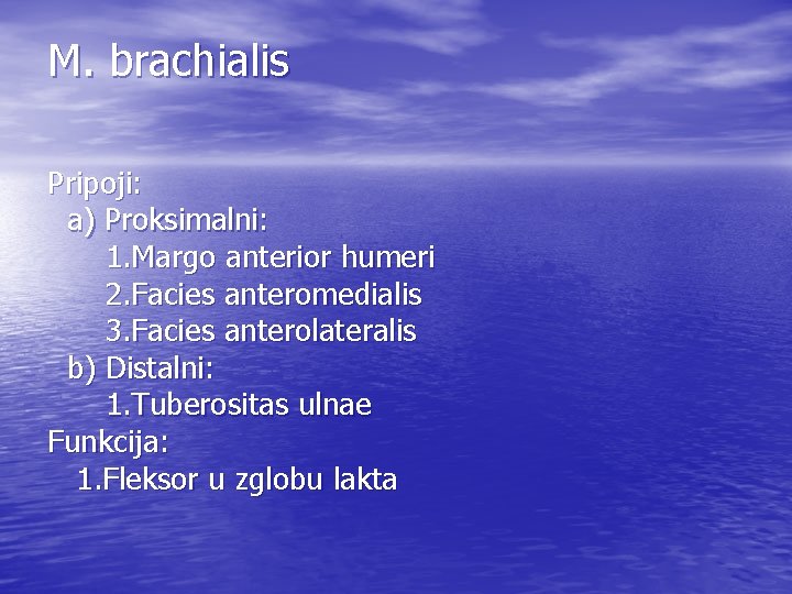 M. brachialis Pripoji: a) Proksimalni: 1. Margo anterior humeri 2. Facies anteromedialis 3. Facies