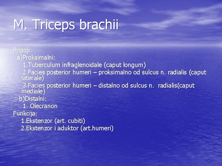 M. Triceps brachii Pripoji: a)Proksimalni: 1. Tuberculum infraglenoidale (caput longum) 2. Facies posterior humeri