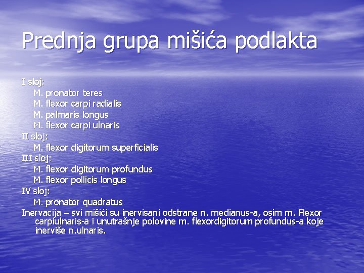 Prednja grupa mišića podlakta I sloj: M. pronator teres M. flexor carpi radialis M.