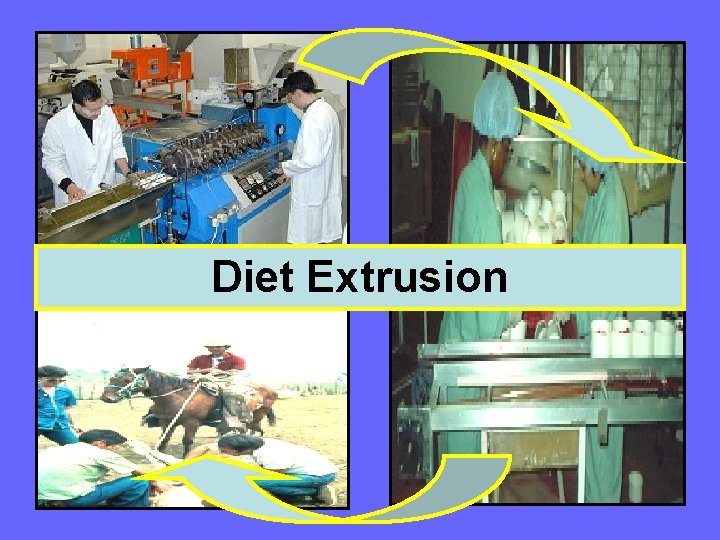 Diet Extrusion 