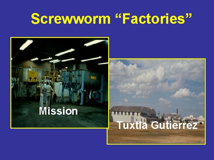 Screwworm “Factories” Mission Tuxtla Gutierrez 