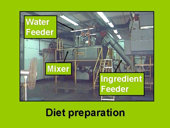 Water Feeder Mixer Ingredient Feeder Diet preparation 