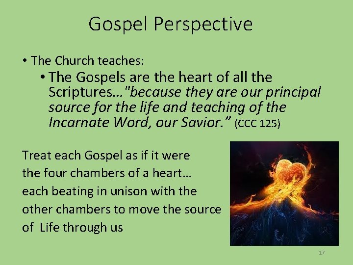 Gospel Perspective • The Church teaches: • The Gospels are the heart of all