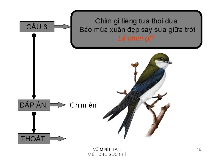 C U 8 ĐÁP ÁN Chim gì liệng tựa thoi đưa Báo mùa xuân