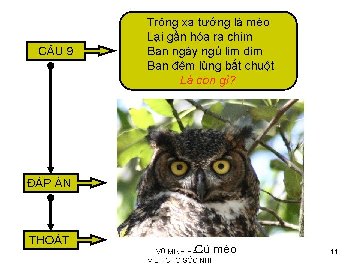 C U 9 Trông xa tưởng là mèo Lại gần hóa ra chim Ban