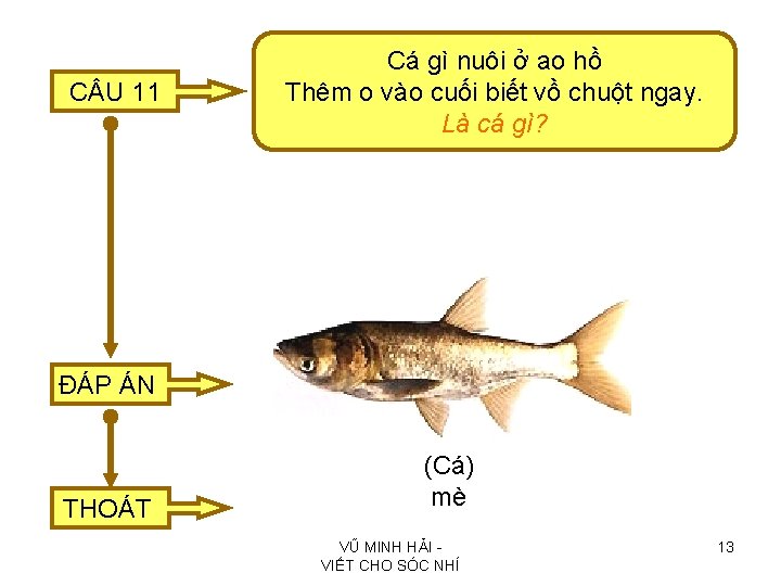 C U 11 Cá gì nuôi ở ao hồ Thêm o vào cuối biết