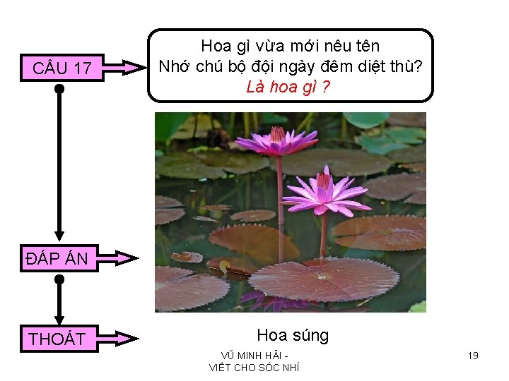 C U 17 Hoa gì vừa mới nêu tên Nhớ chú bộ đội ngày