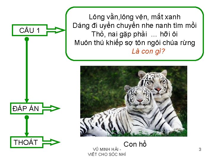 C U 1 Lông vằn, lông vện, mắt xanh Dáng đi uyển chuyển nhe