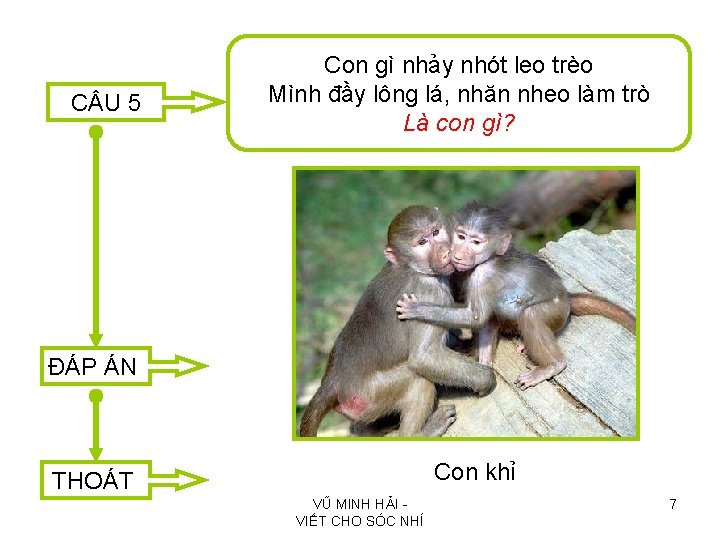 C U 5 Con gì nhảy nhót leo trèo Mình đầy lông lá, nhăn