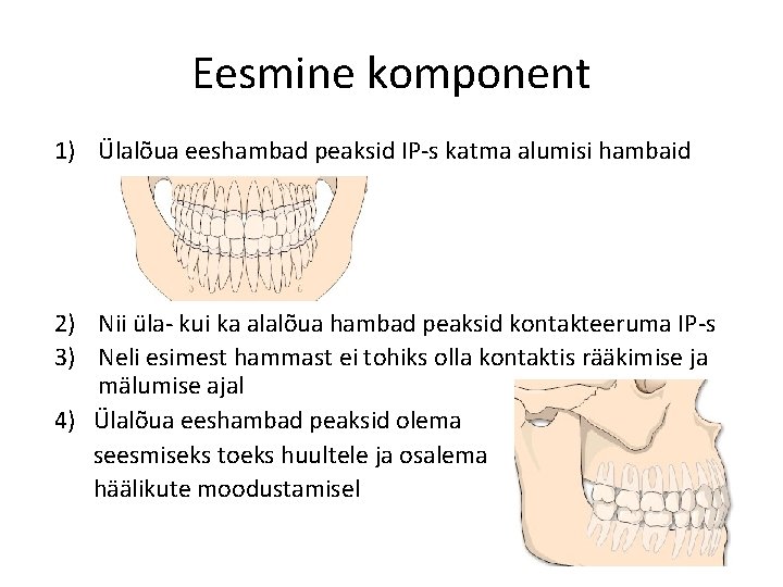 Eesmine komponent 1) Ülalõua eeshambad peaksid IP-s katma alumisi hambaid 2) Nii üla- kui