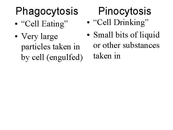 Phagocytosis Pinocytosis • “Cell Drinking” • “Cell Eating” • Small bits of liquid •