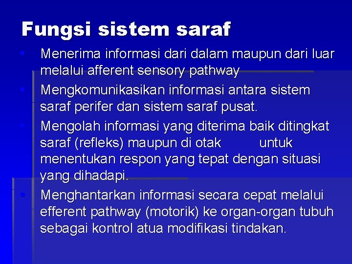Anatomi Dan Fisiologi Sistem Saraf Pusat R Bayu