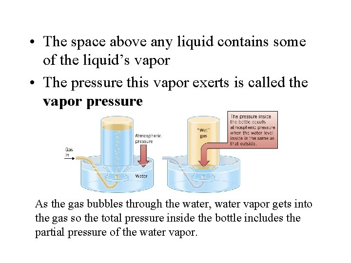  • The space above any liquid contains some of the liquid’s vapor •