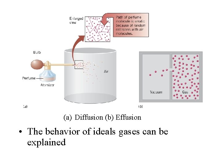 (a) Diffusion (b) Effusion • The behavior of ideals gases can be explained 