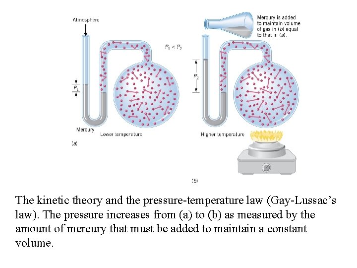 The kinetic theory and the pressure-temperature law (Gay-Lussac’s law). The pressure increases from (a)