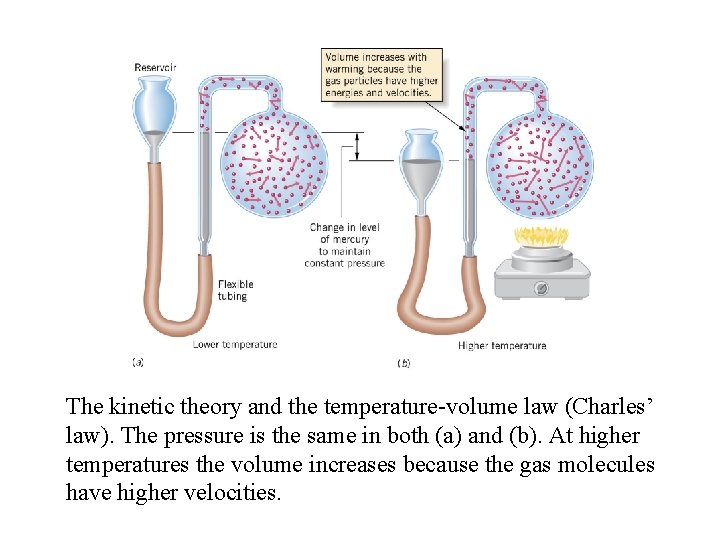 The kinetic theory and the temperature-volume law (Charles’ law). The pressure is the same