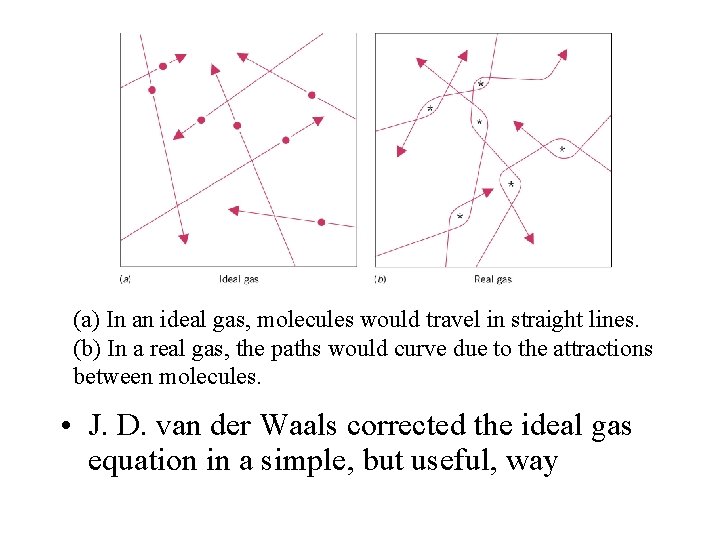 (a) In an ideal gas, molecules would travel in straight lines. (b) In a
